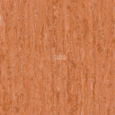Tarkett iq Optima Red Orange 0258 фото 1 | FLOORDEALER